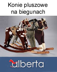 konie na biegunach alberta