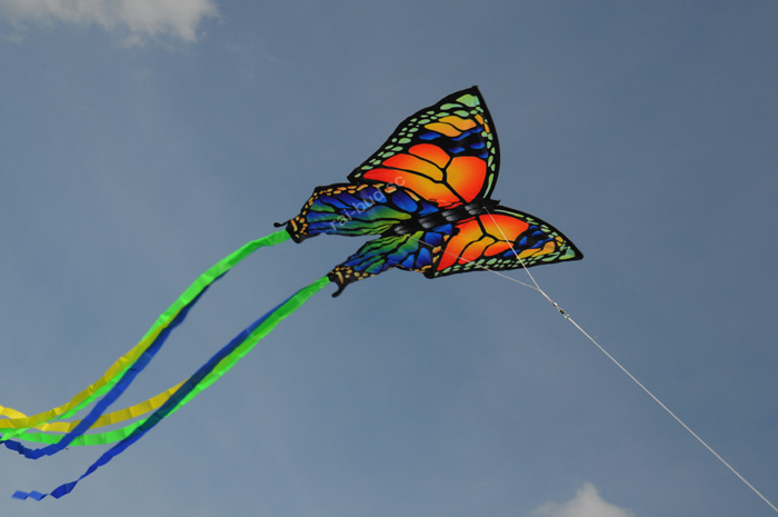 latawiec motyl kolorowy