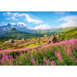 Puzzle Hala Gąsienicowa, Tatry 1000 el