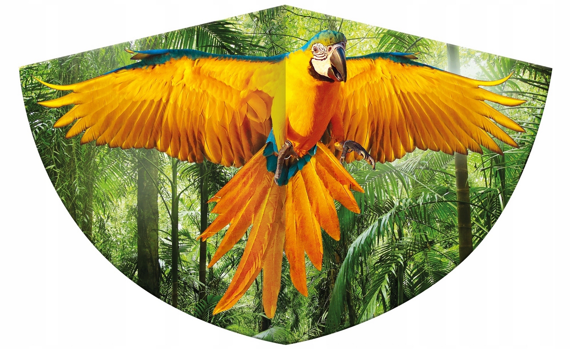 latawiec papuga ara 75x48cm