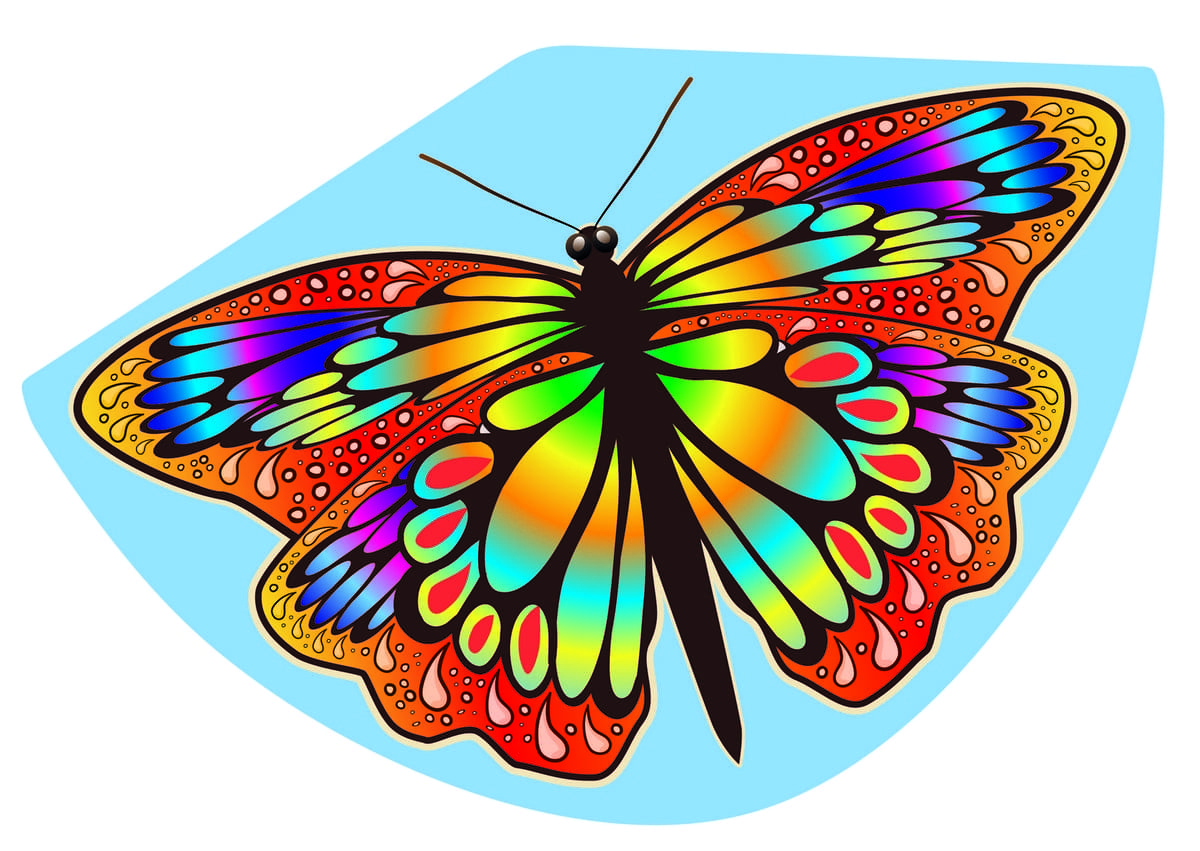 latawiec motyl papillon latawiec, latawce, samolot, wiropłat, 