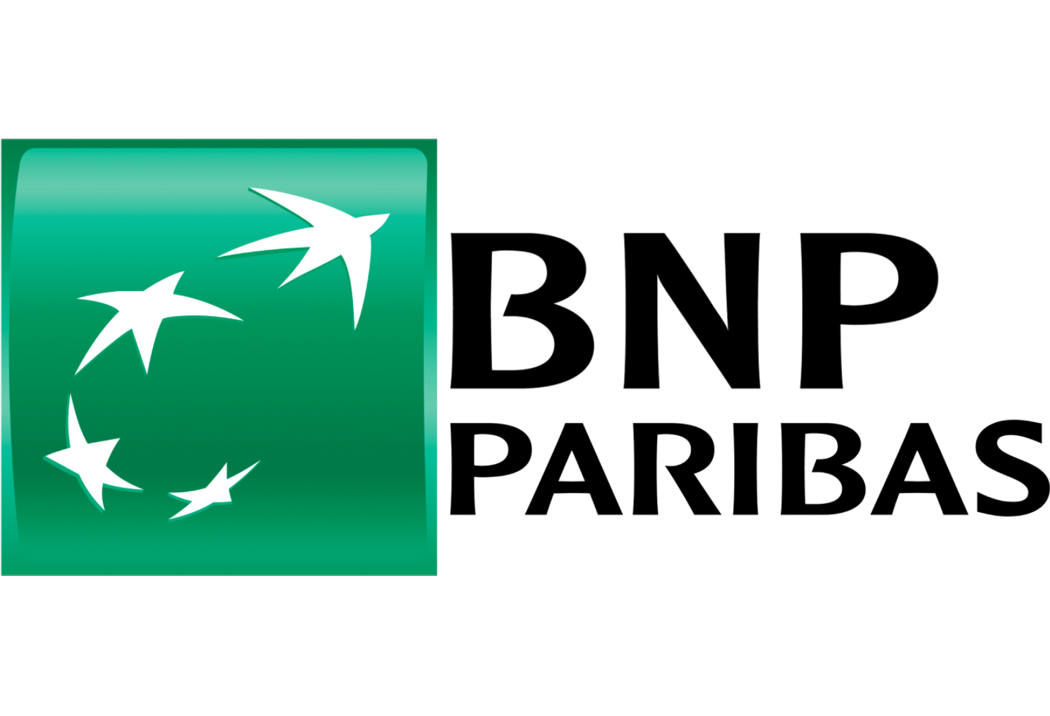 RAI-BUD ZABAWKI PŁATNOŚC PRZEZ BNP PARIBAS