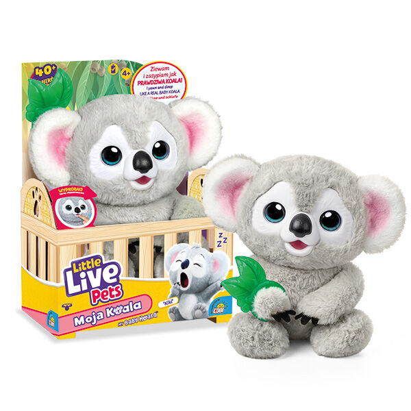 Moja Koala Little Live Pets podczas zabawy