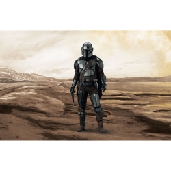 Star Wars The Mandalorian: Din Djarin