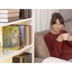 Book Nook Quidditch Field – Harry Potter