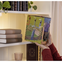 Book Nook Quidditch Field – Harry Potter