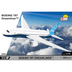 Boeing 787 Dreamliner™
