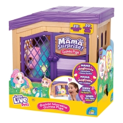 Mama Surprisa – Tęczowe świnki morskie