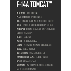 Grumman F-14 Tomcat