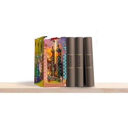 Book Nook Quidditch Field – Harry Potter