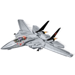 Grumman F-14 Tomcat