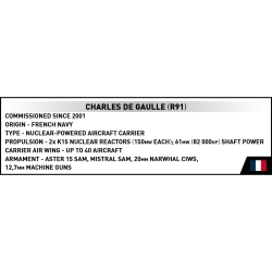 Lotniskowiec Charles de Gaulle R91