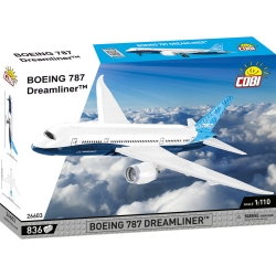 Boeing 787 Dreamliner™