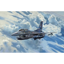 F-16D Fighting Falcon Tigermeet 2014