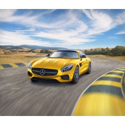 Mercedes-AMG GT 1:24