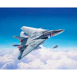 F-14D Super Tomcat, model 1:100