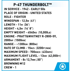 P-47 Thunderbolt™