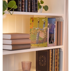 Book Nook Quidditch Field – Harry Potter