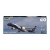 Airbus A350-900 Lufthansa 100 Years