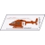 Bell 407 Coast Guard