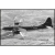 Boeing B-29 Superfortress