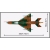 MiG-21 (NRD / Czechosłowacja)