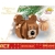 COBI Brown Bear – ozdoba choinkowa